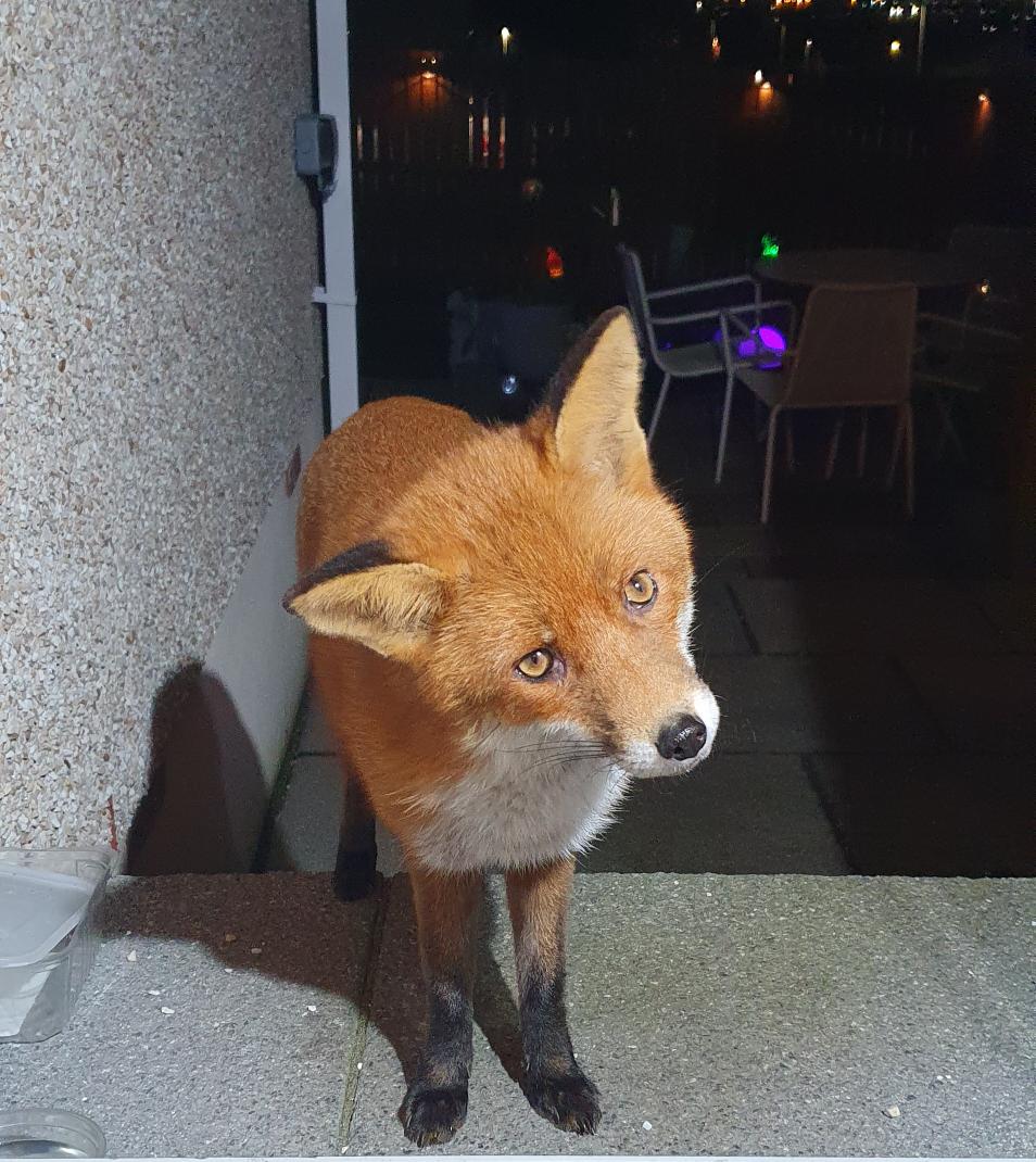 Siobhean 🖤 tweet media