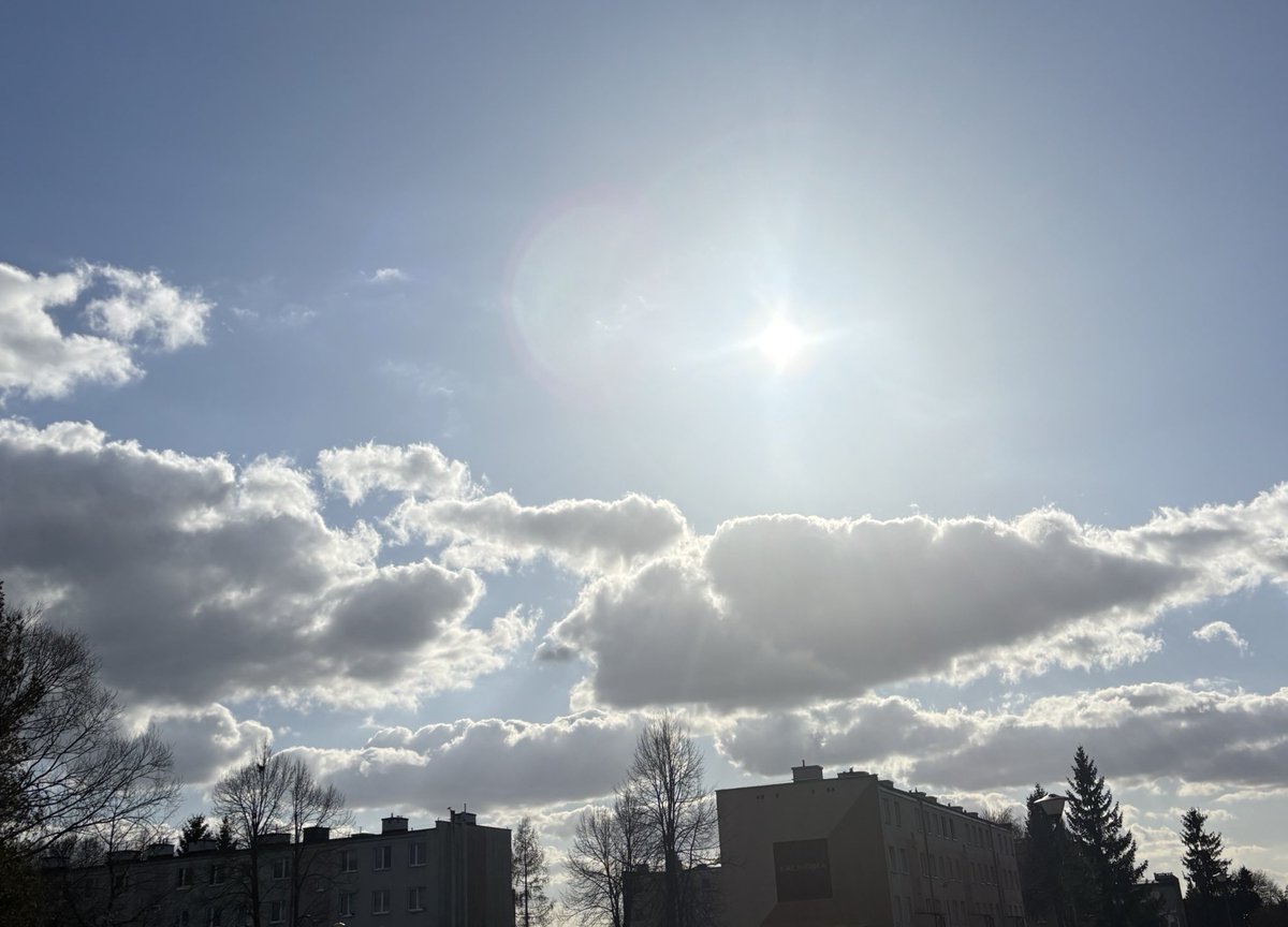 Lisa 🧚🏻♀️ tweet media