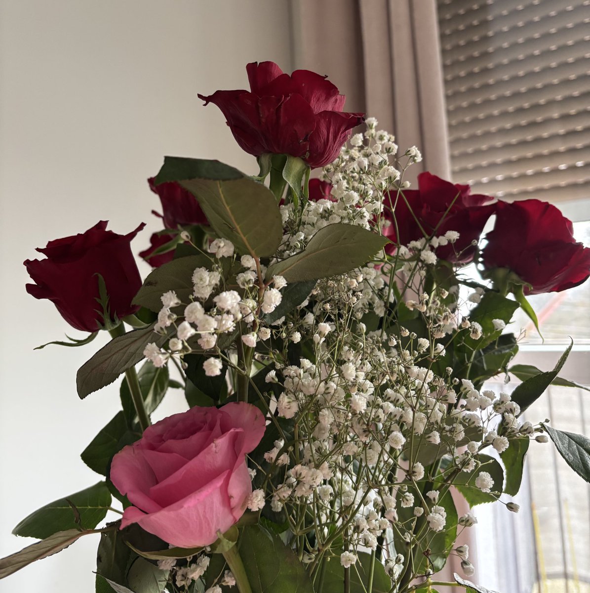 Lisa 🧚🏻♀️ tweet media