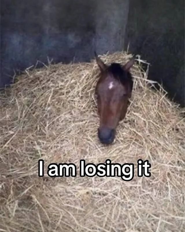 EVIL BATTERIES🔋 #IAMEVILBEAR tweet media