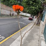 Photo by Maria del Carmen Míguez (@miguezmc)