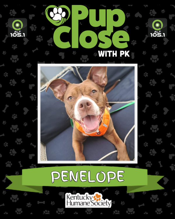 ALT 105.1 📻 tweet media