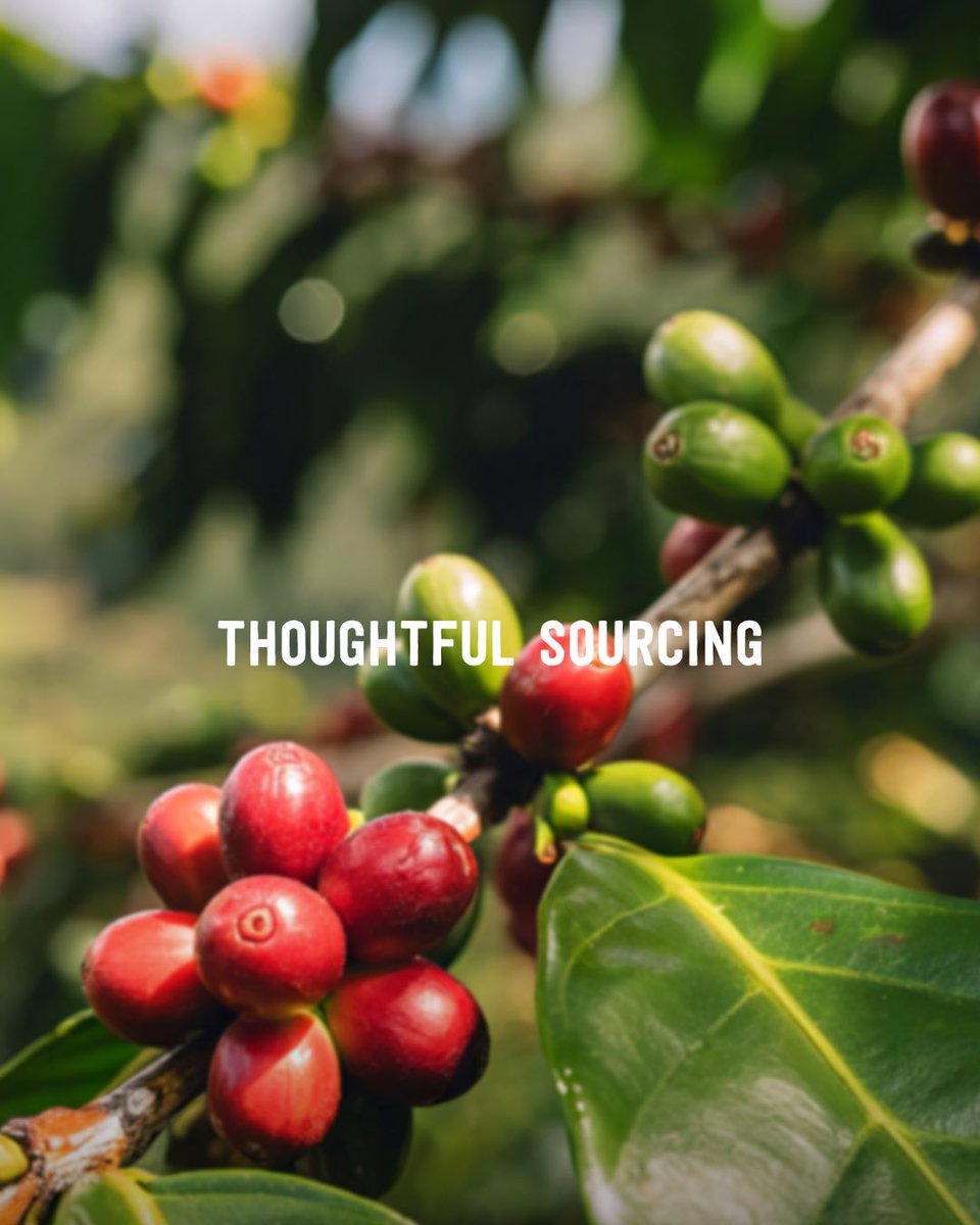 Marley Coffee tweet media