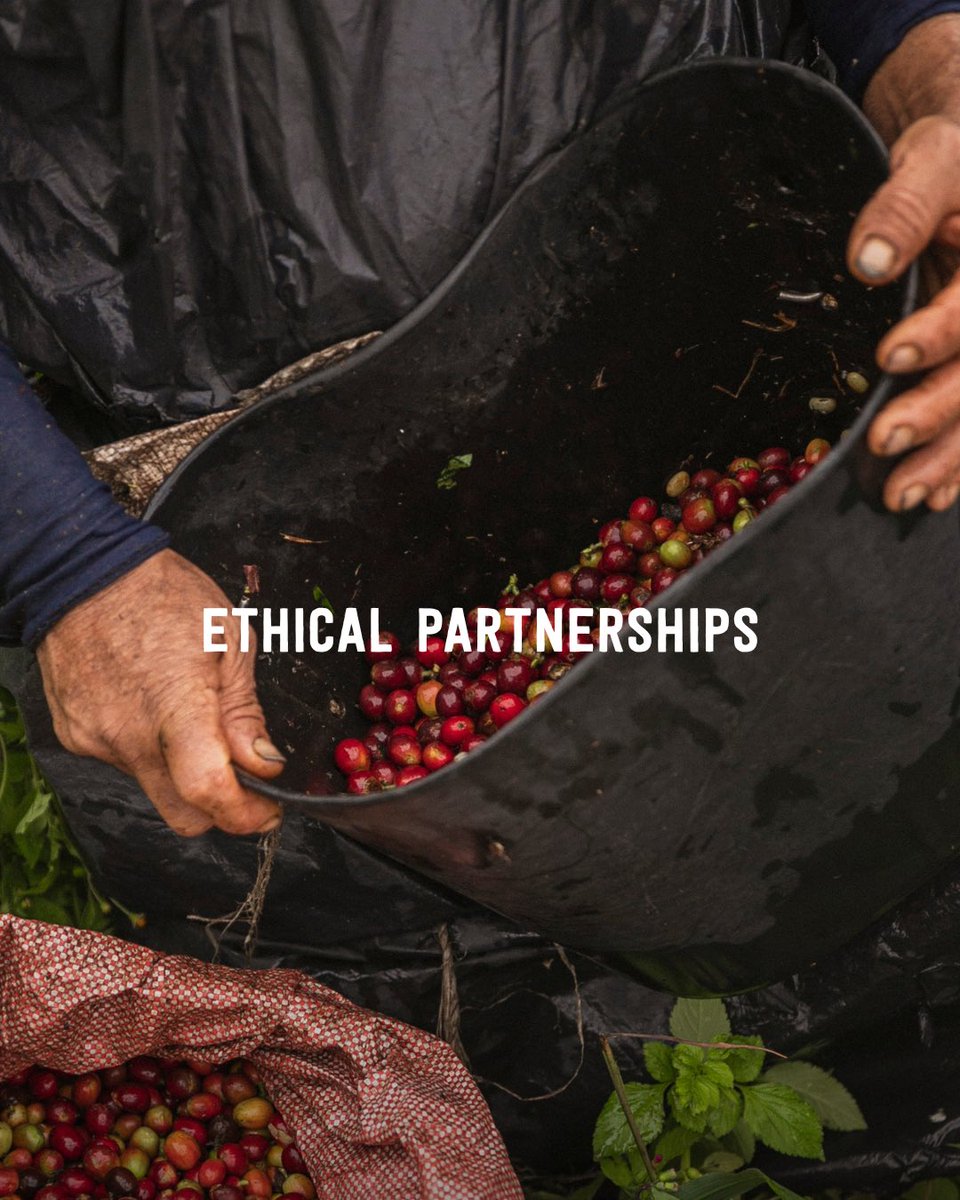 Marley Coffee tweet media