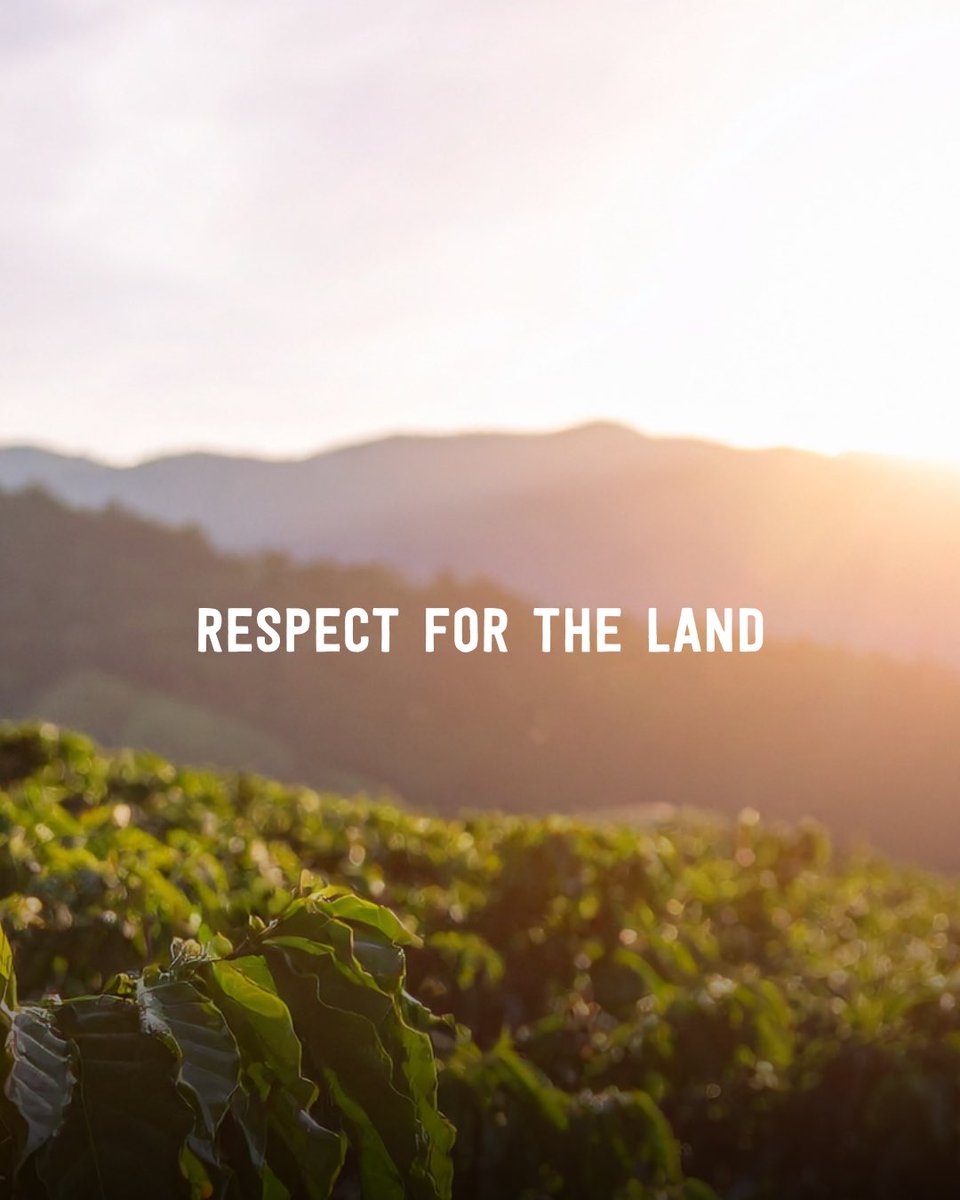 Marley Coffee tweet media