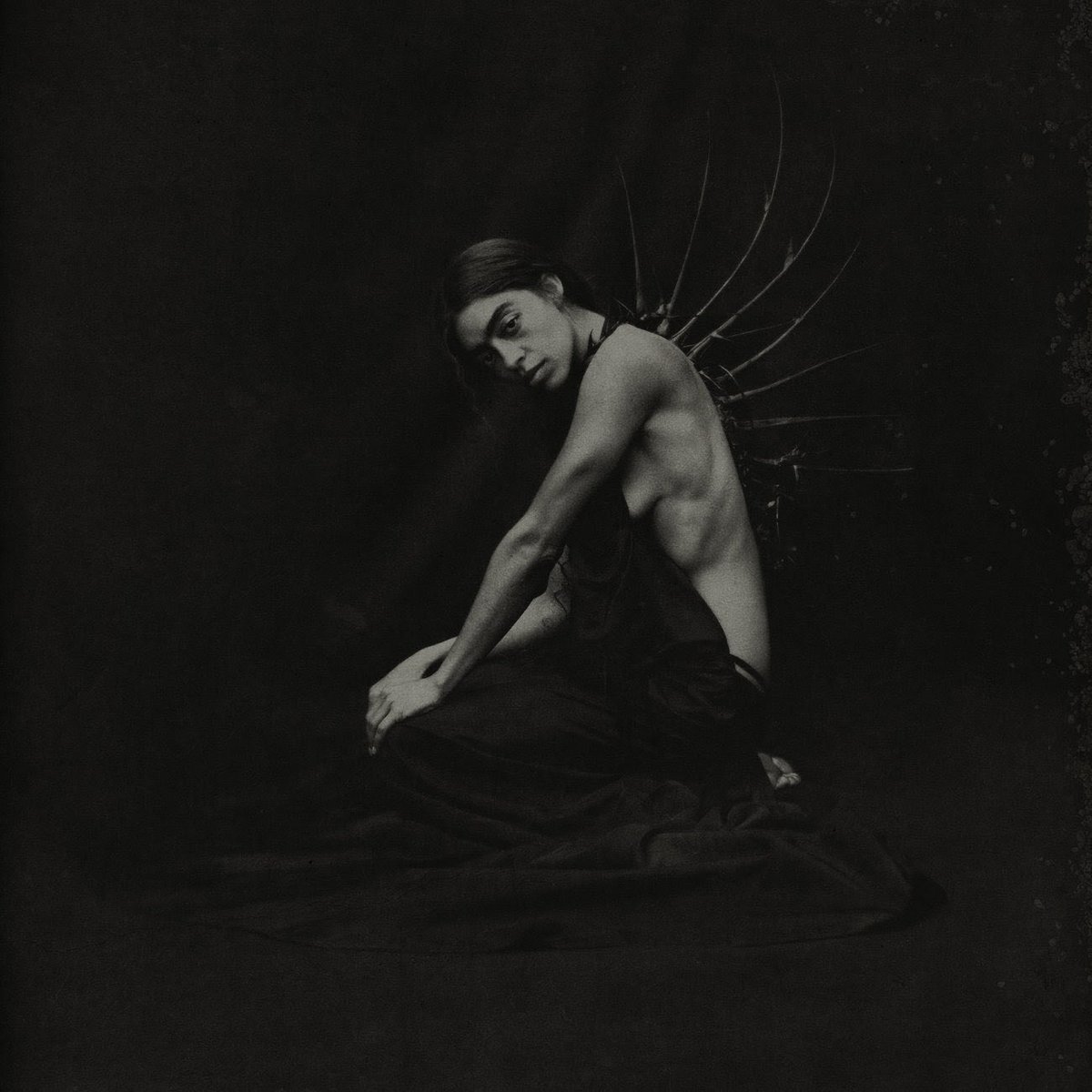 Dirty Hit tweet media