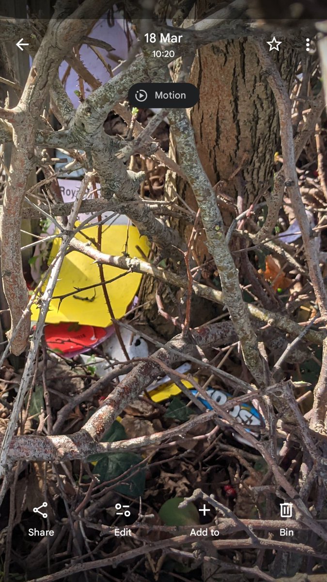 Eric Torrington tweet media