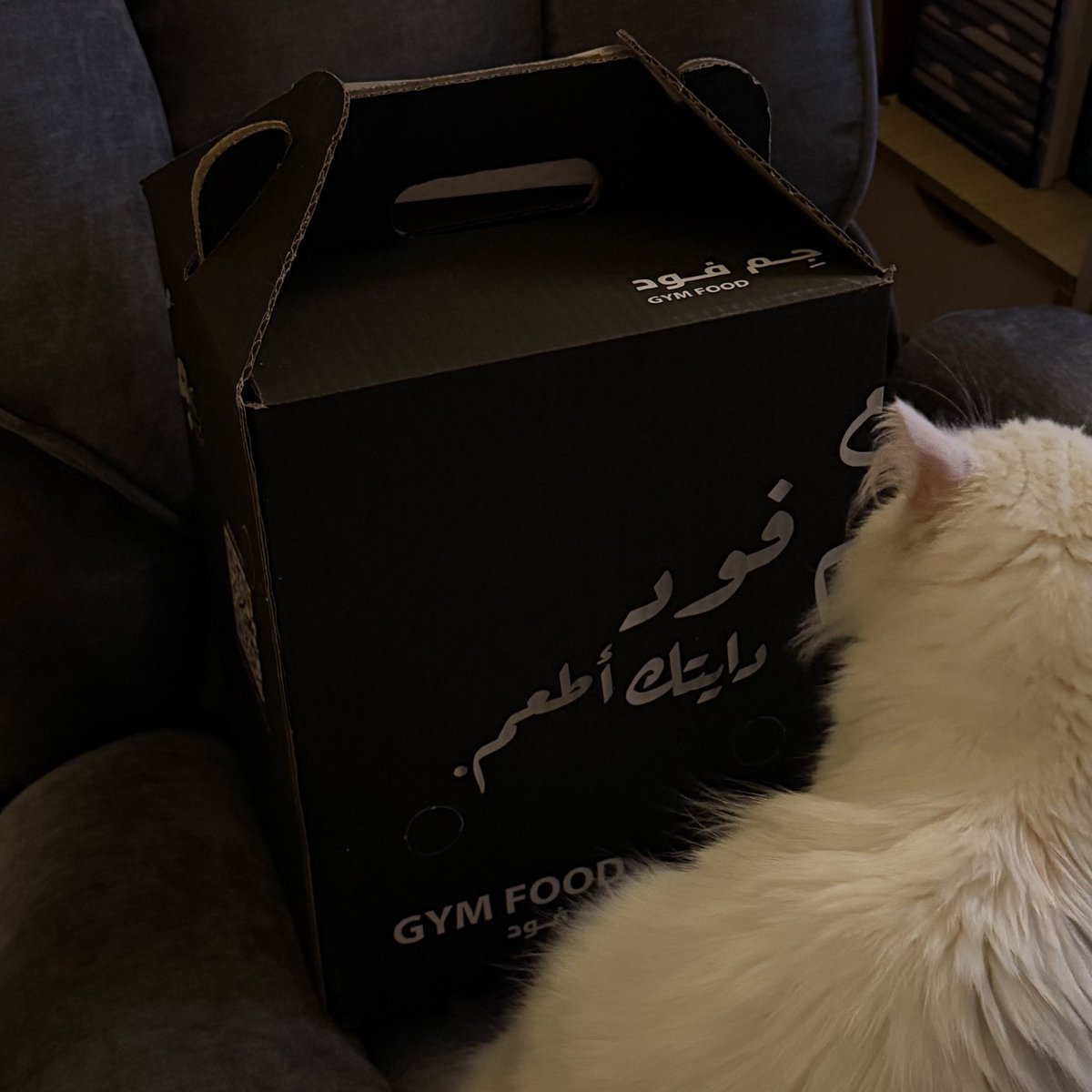 رِناد 𓋼 tweet media