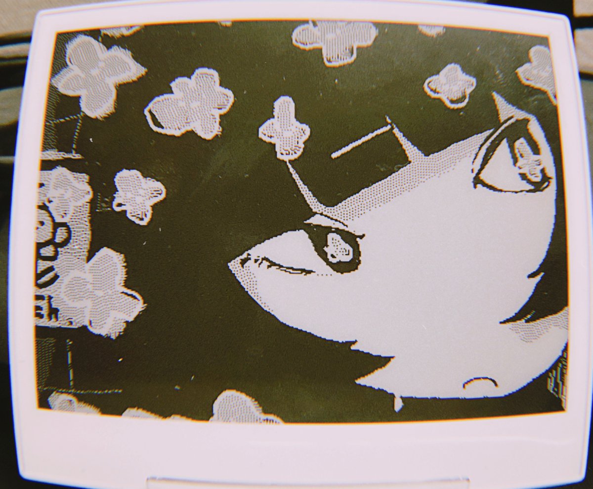 マドノ アヤ tweet media