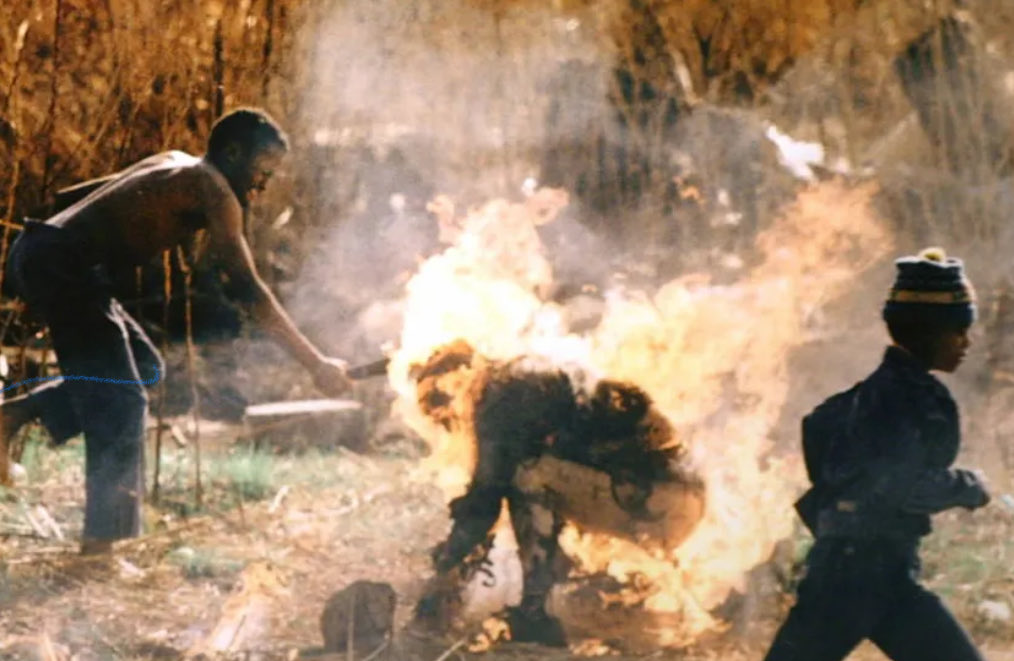 Mindless SheepUSA tweet media