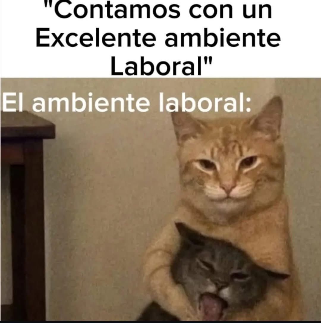 El Meme (@memessv7) on Twitter photo 