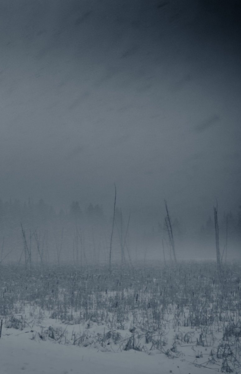 Loki Highlock tweet media