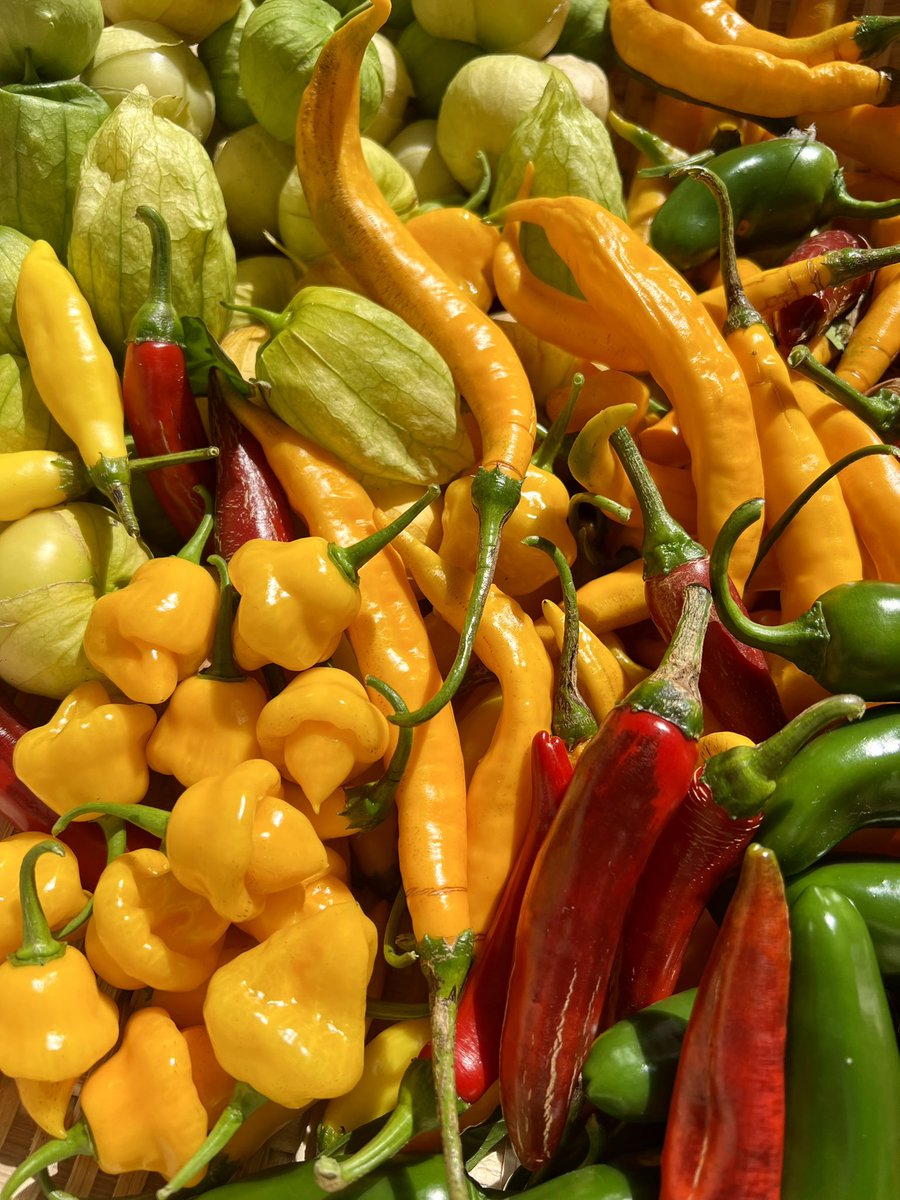 The Last Farm tweet media