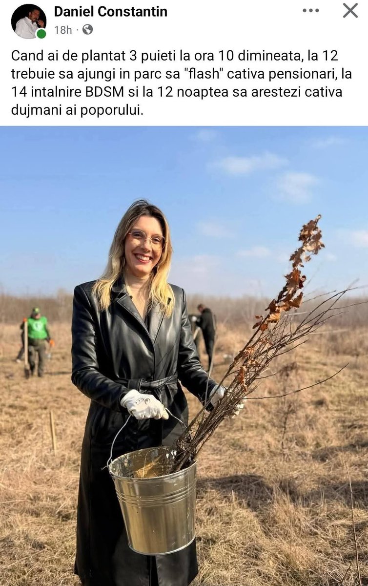 Alex41pr tweet media