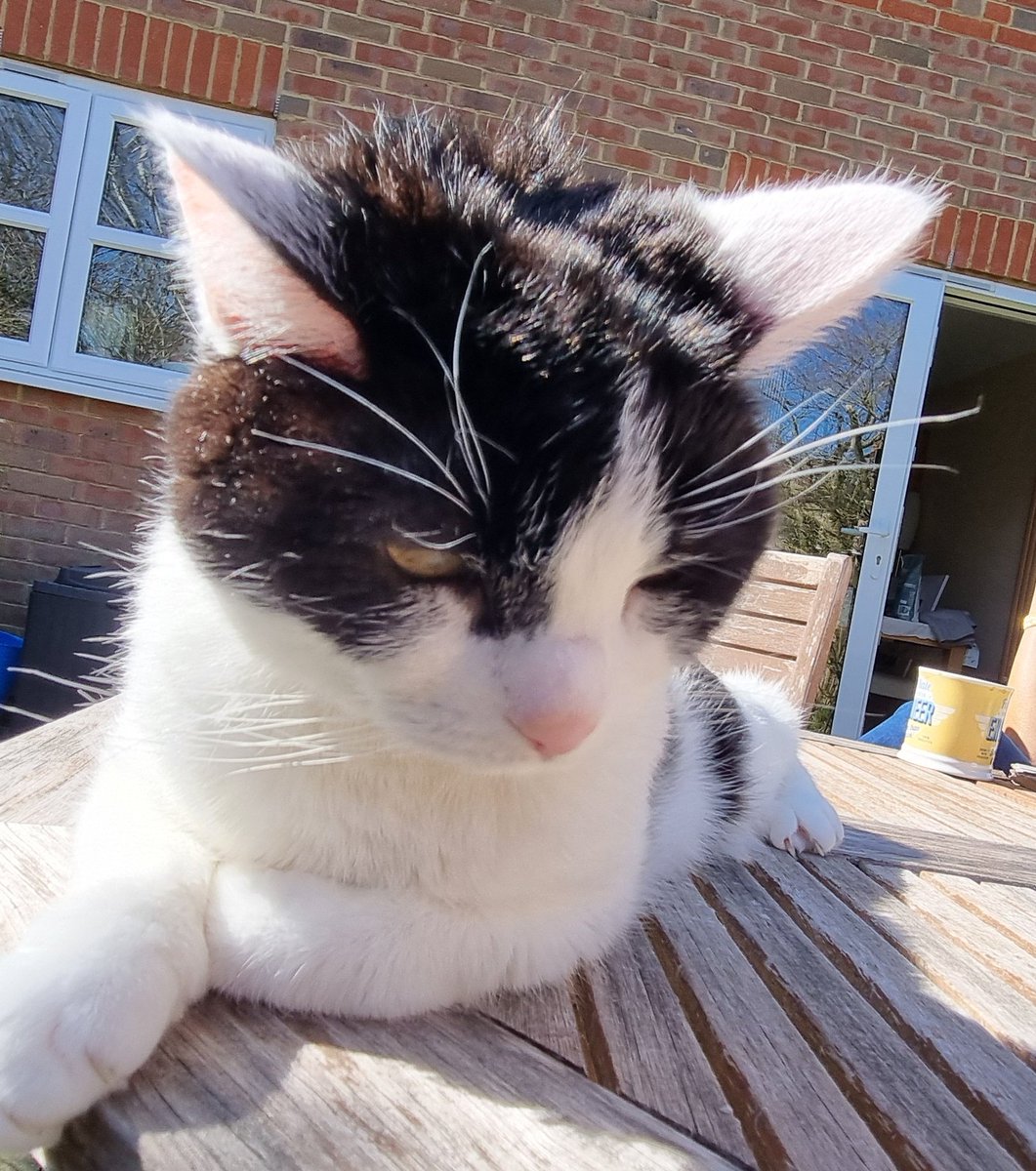 (^×^) Buffy tweet media