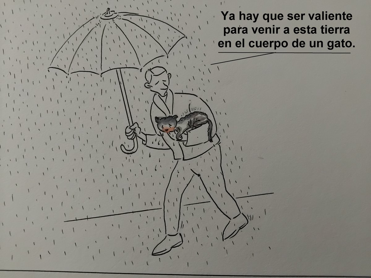 Paco Catalán. tweet media