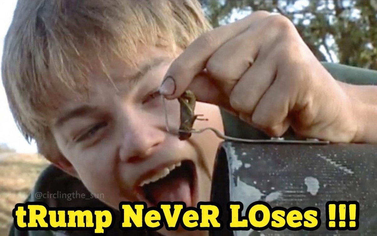 Catcat Autocrat tweet media