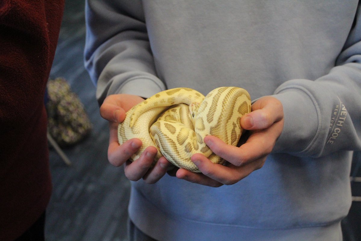 Megan Schwindler tweet media