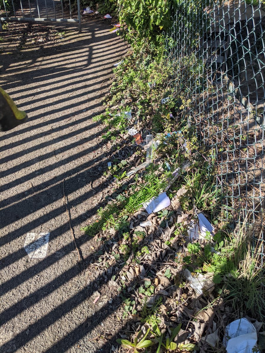 Eric Torrington tweet media