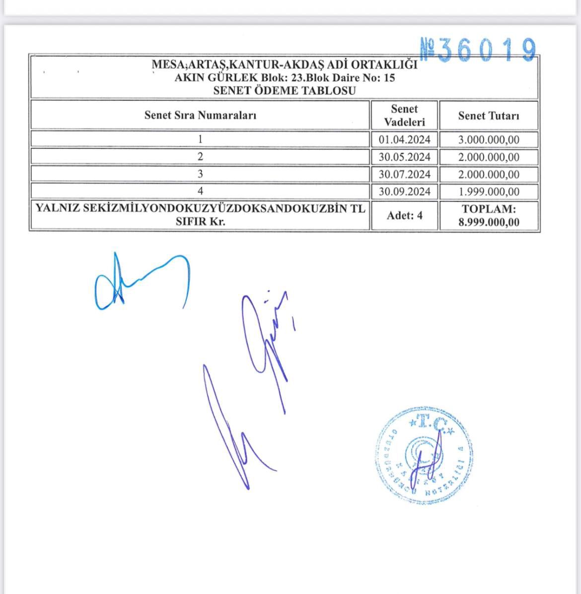 lili🐾 tweet media