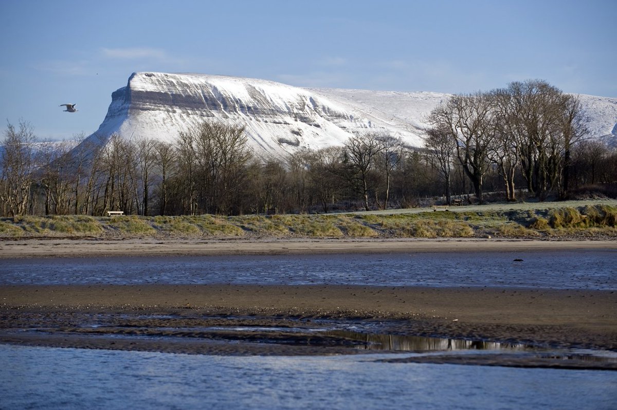 Lissadell House tweet media