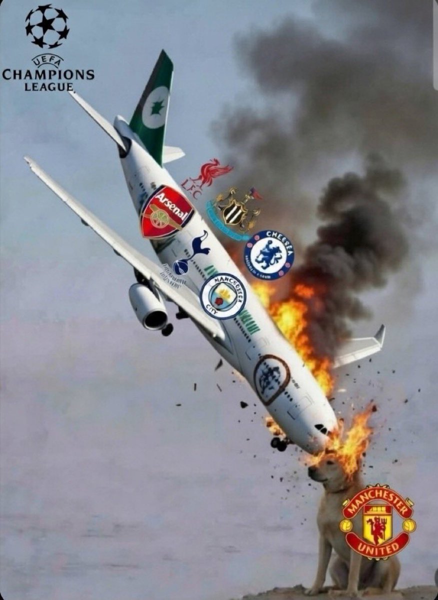 EDITSWITHJOSH tweet media