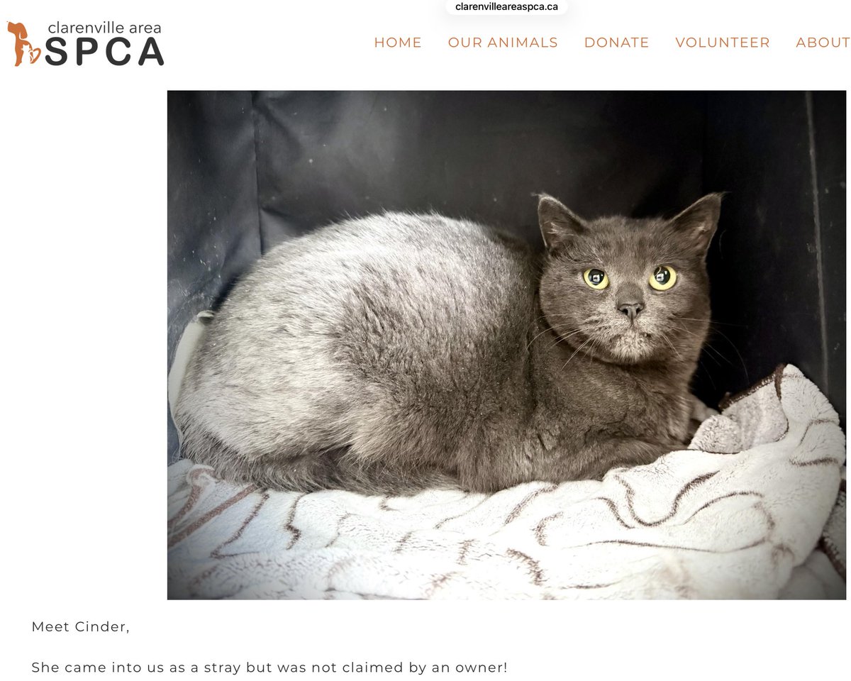 RBClouston tweet media