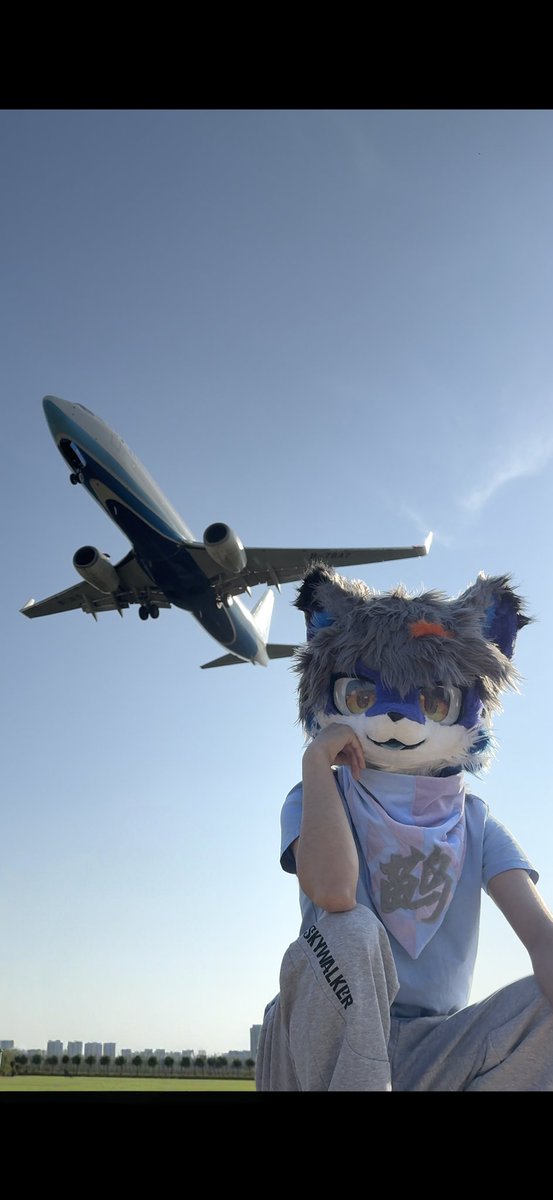 鹋 tweet media