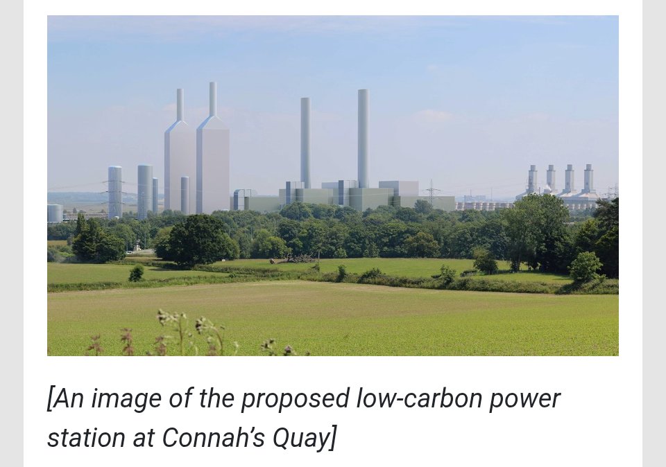 Carolyn Thomas MS / AS tweet media