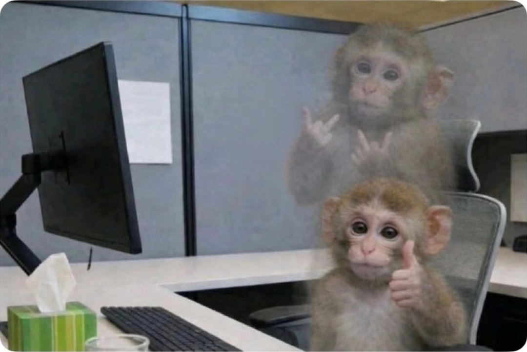 Lawyer Issues tweet media