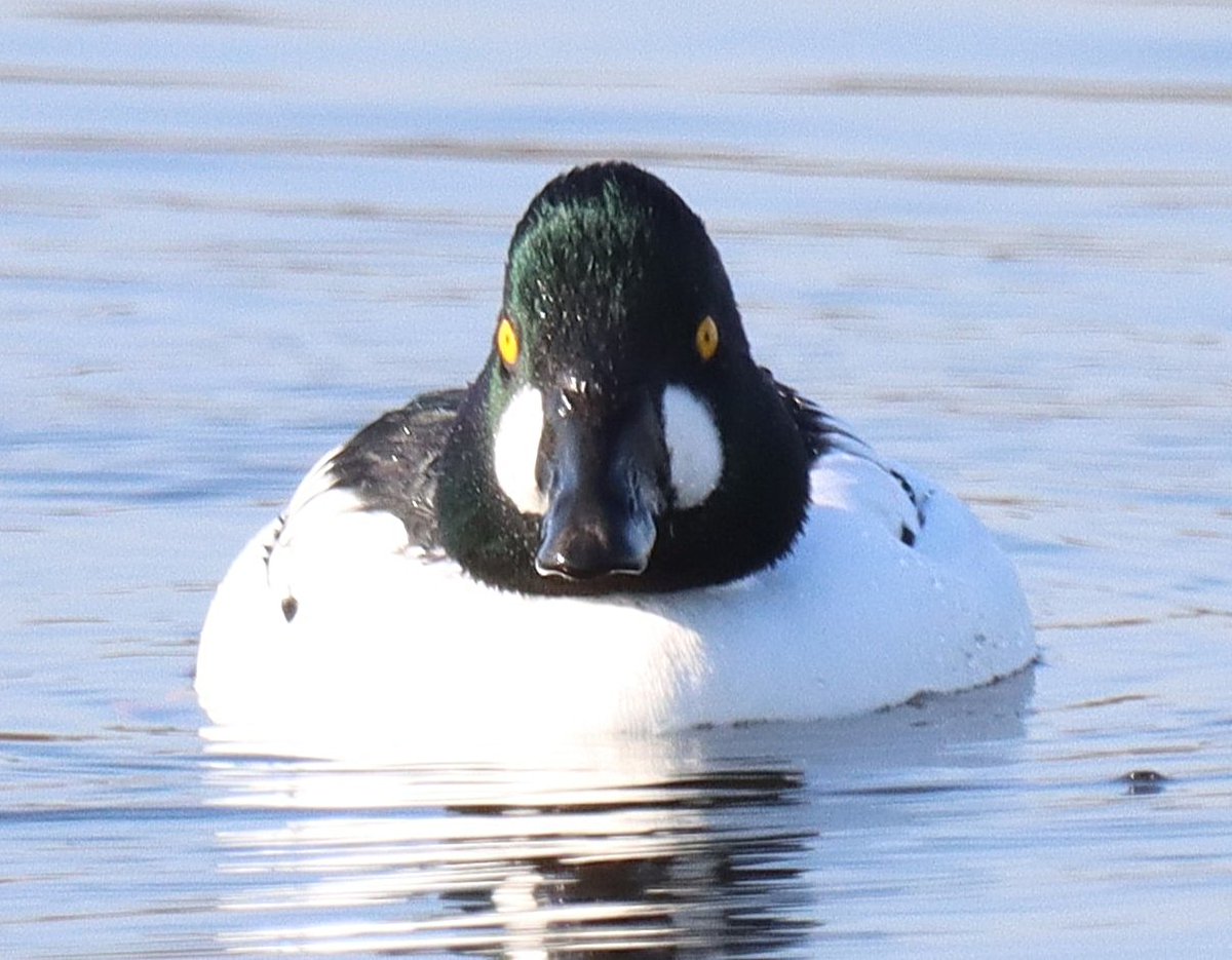 Dave 💙💛 tweet media