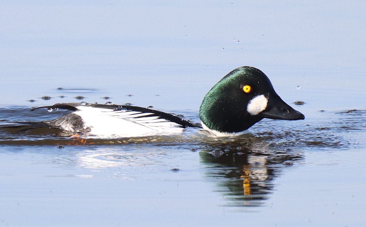 Dave 💙💛 tweet media