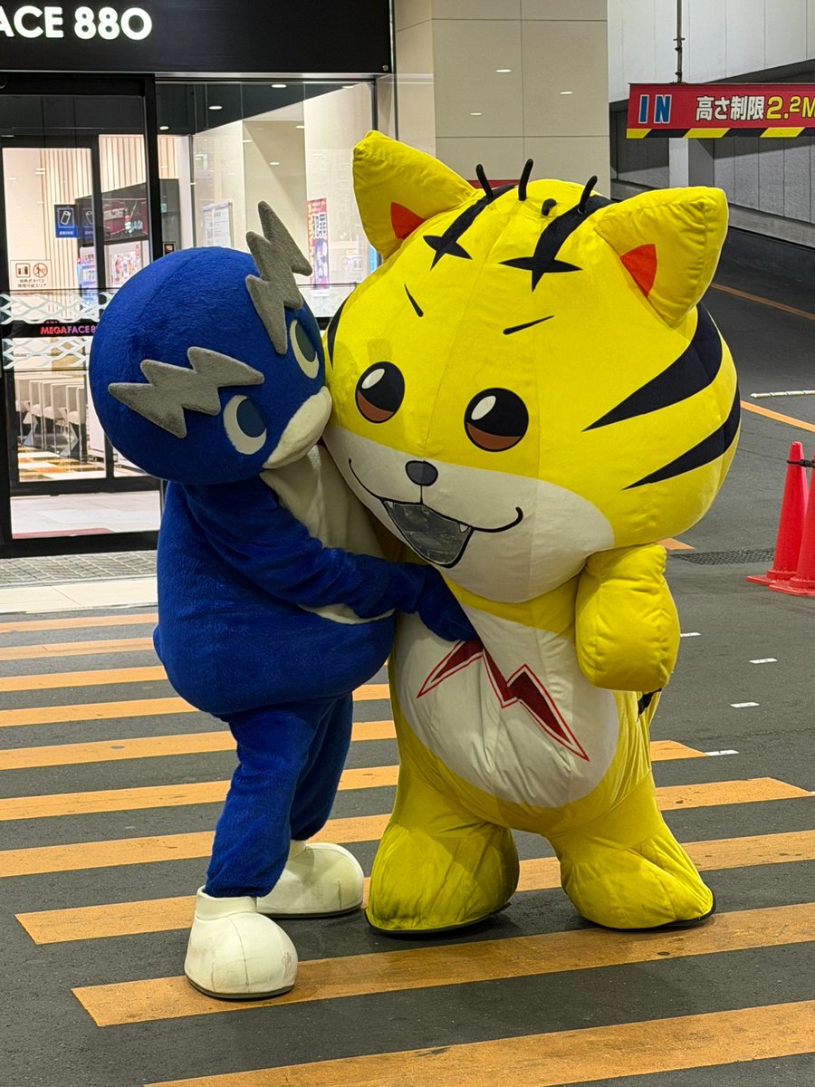 evoshineitai's tweet photo. 3/18(水)玉屋∞本店

🐅メガンダイ🐧
🌈プリズムナナ
🌈かぐや
🌈����海門
🌈🦛
🌈ハッピー
🌈ライズ
⭕️攻殻機動隊:544,545
⭕️ヴヴヴ:929,930,963,964
⭕️からさー:932,933,935,960
⭕️ファンキー2:845,847,849,868,
869,870,872 https://t.co/vHaPJm5R6L