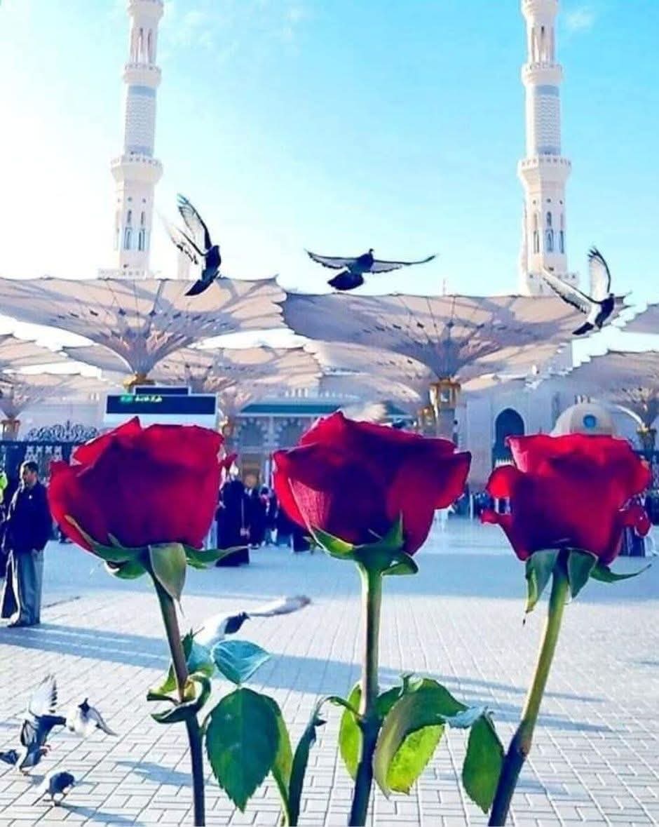 feridenokay34's tweet photo. Gönül !
Dünya da Allah'ı Bulmaksa
Ömür de Güzel Ölüm de 
Eğer Kalbini
Allah'ın İsm'i ile Süslediysen
Nefes Almakta güzel vermekte 
Yolun Allah a varmak ise
Koşmakta Güzel Yürümek te
Hazreti İbrahim a.s gibi
Teslim  Olmaksa Allah'a
Ateşe Atılsanda
Gül olmak ta Güzel Kul Olmak ta https://t.co/snJZVFglaX