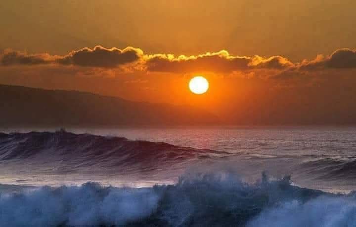 "No busques recuperar el tiempo perdido, céntrate en el presente y en quién inviertes tu futuro"

Hasta mañana amigos!!🤗😘🍀💫