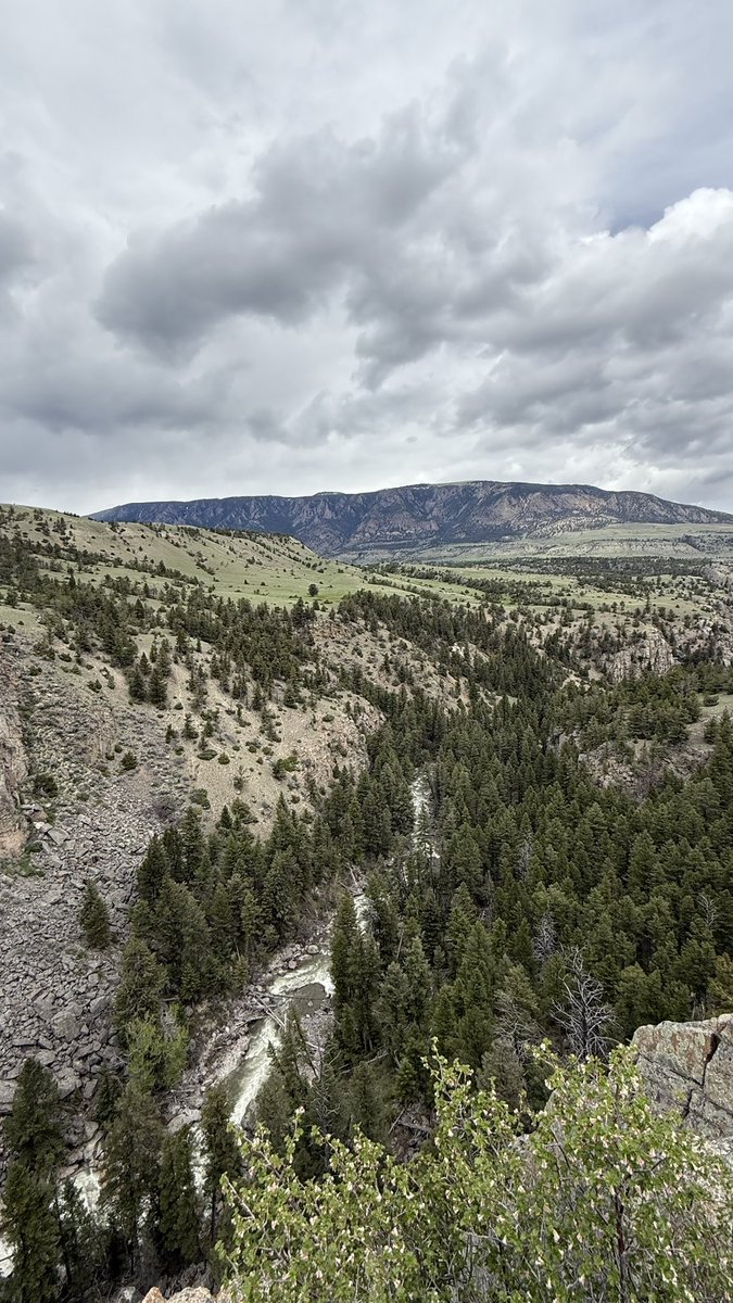 MMCM(SS) Ret. tweet media