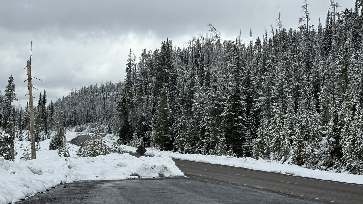 MMCM(SS) Ret. tweet media