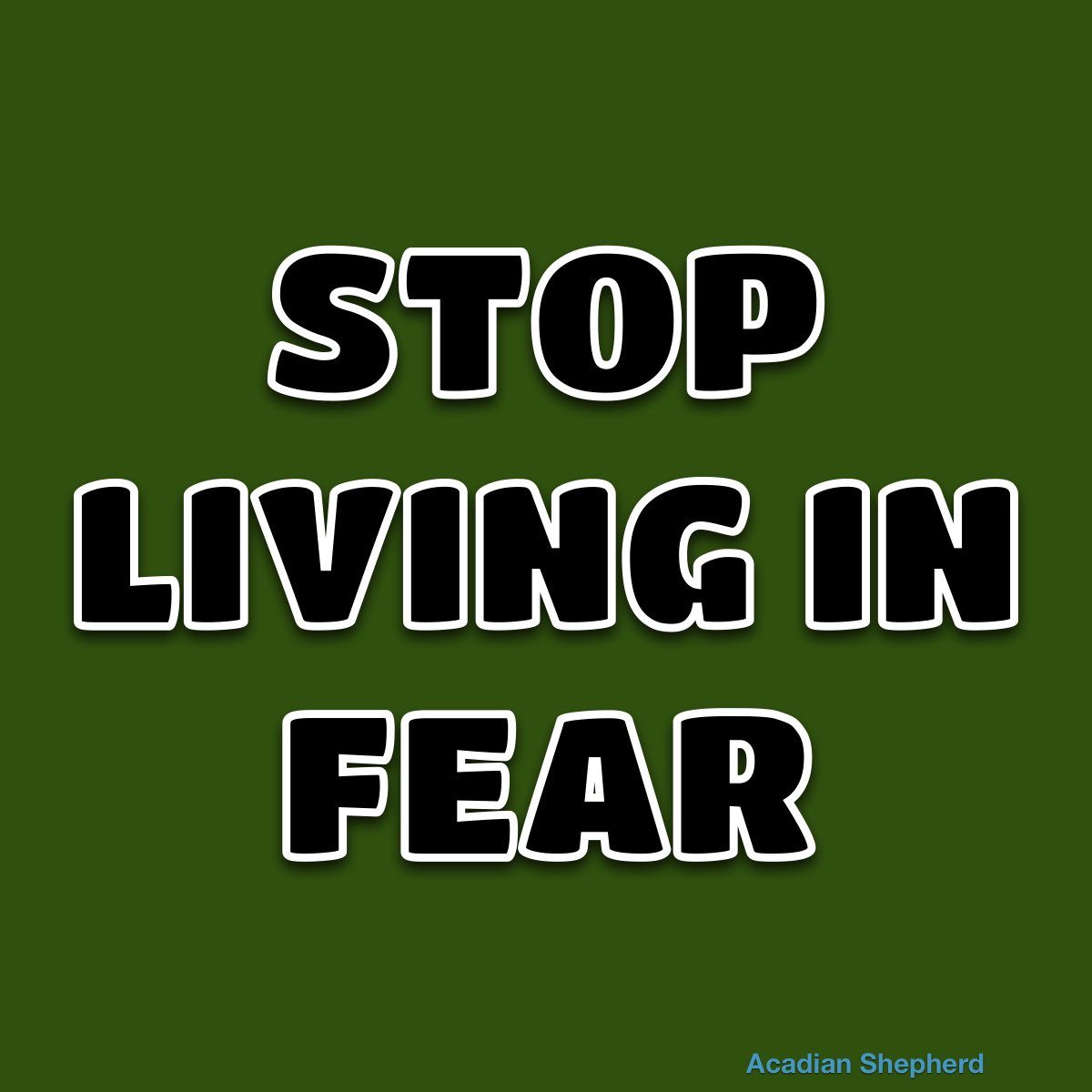 The Original Acadian Shepherd tweet media