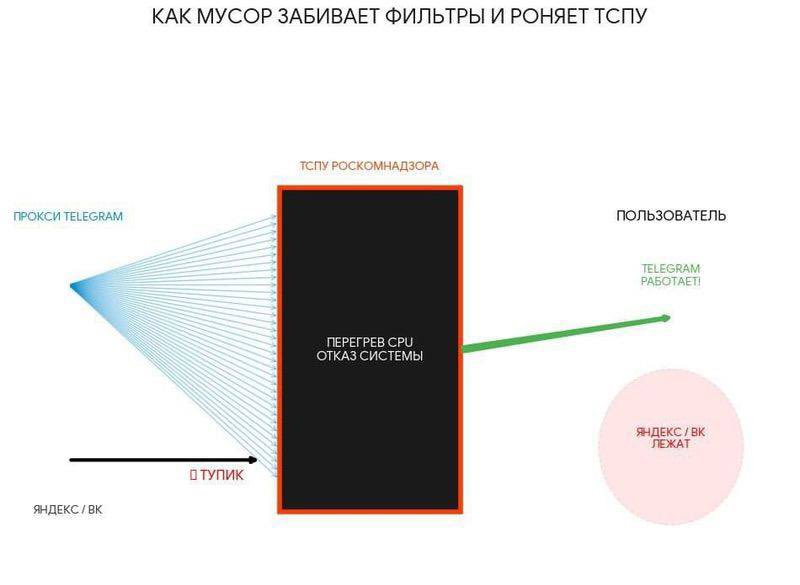 карайло 🤼‍♀️ tweet media