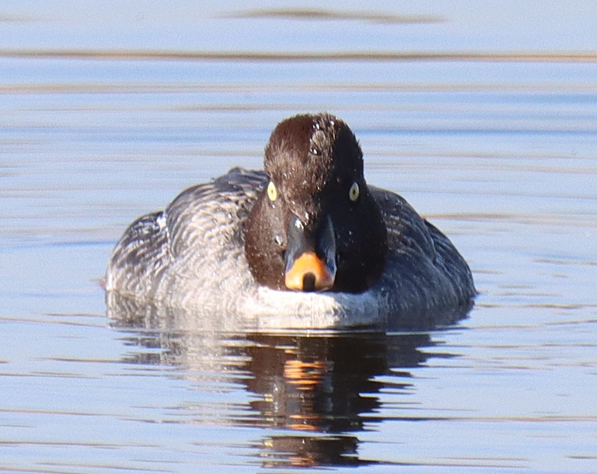 Dave 💙💛 tweet media