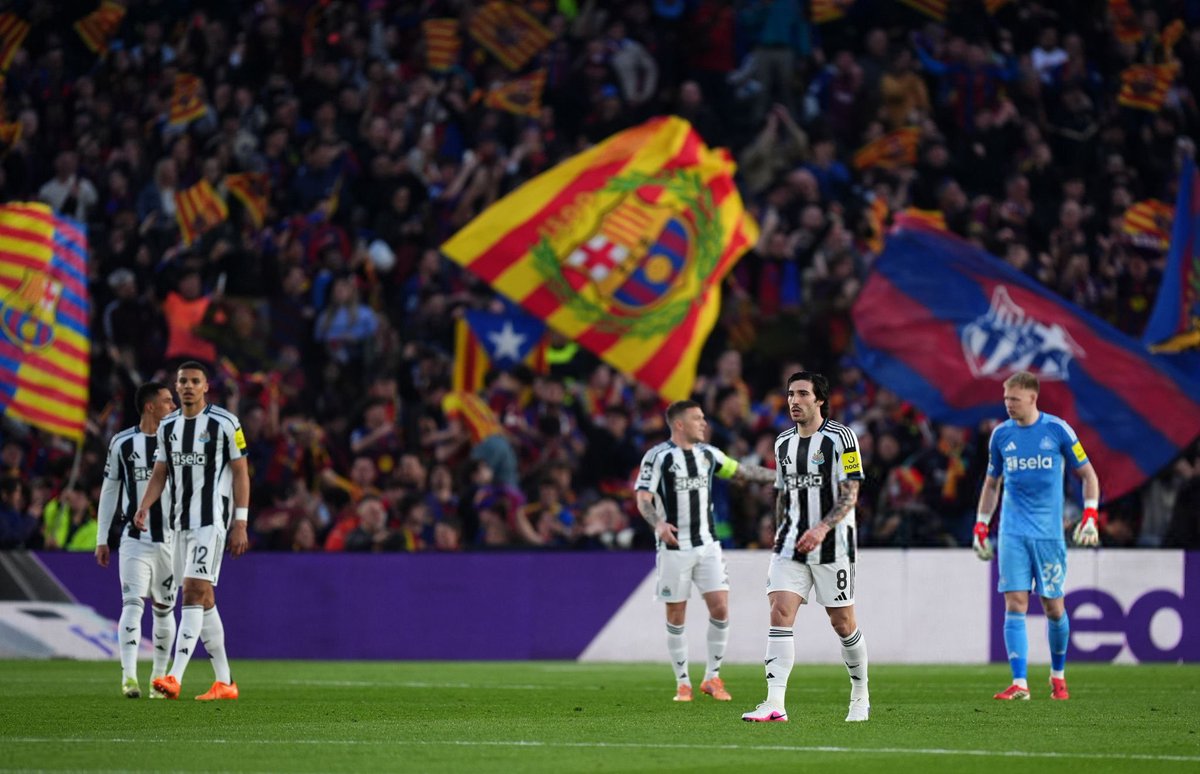 عمرو tweet media