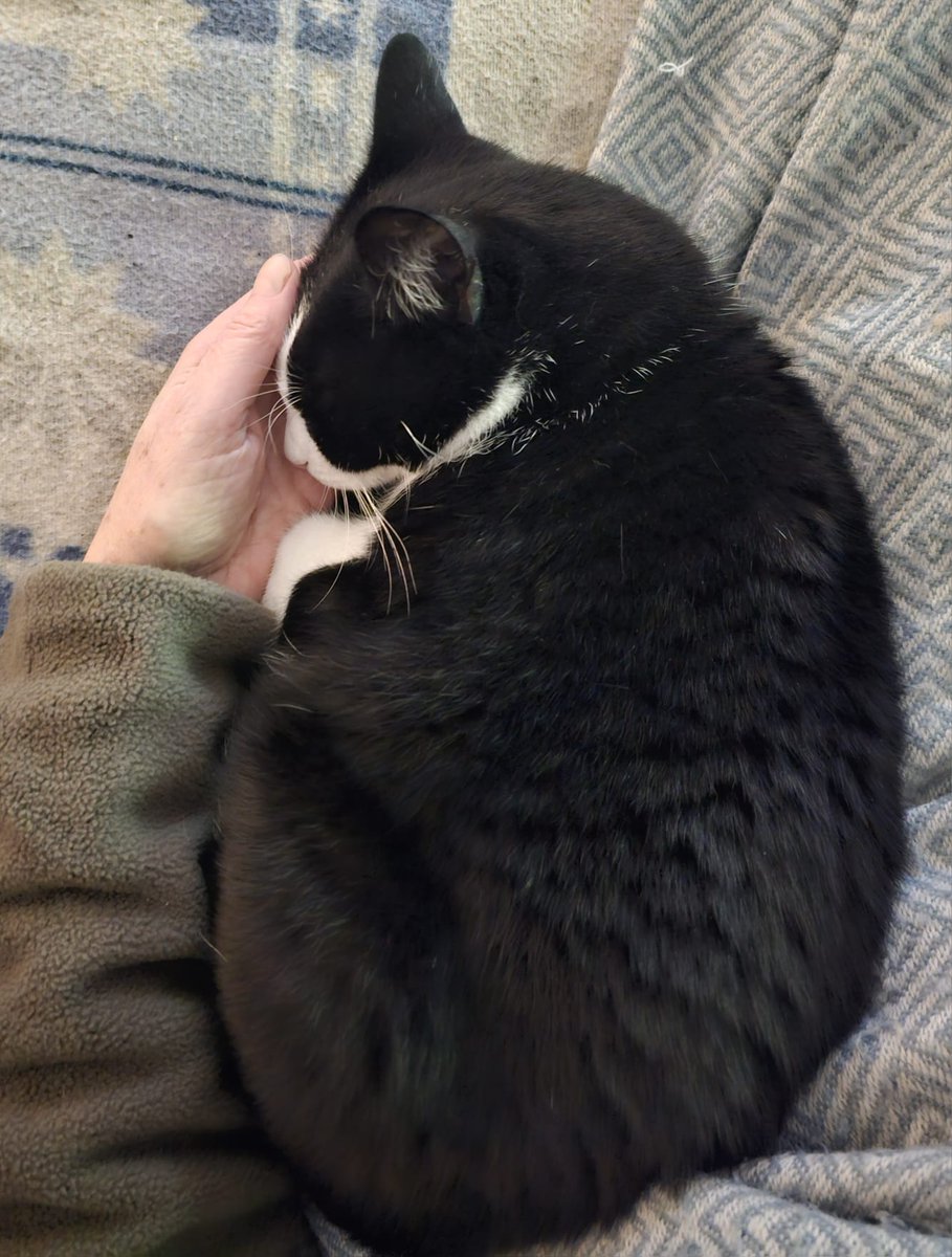 zulma de la ferme tweet media