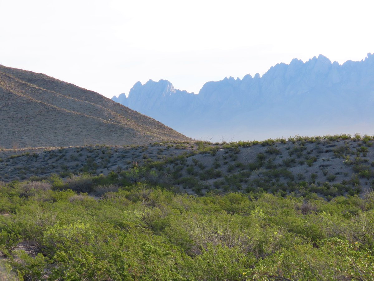 Robert P. Rowley tweet media