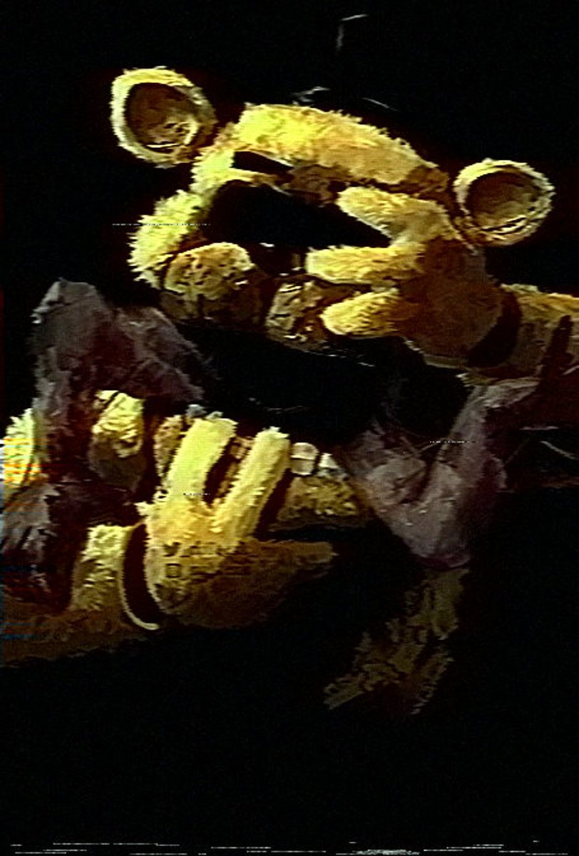 moltexk ( COMMISSIONS OPEN ) ( 2/3 slots ) tweet media