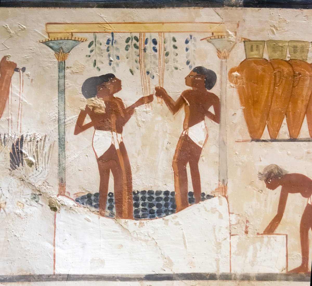 Explore Luxor tweet media