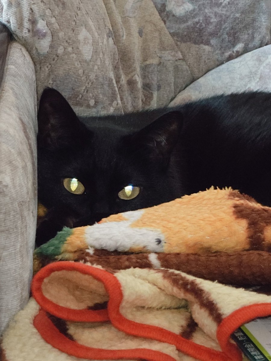 三重みえ tweet media