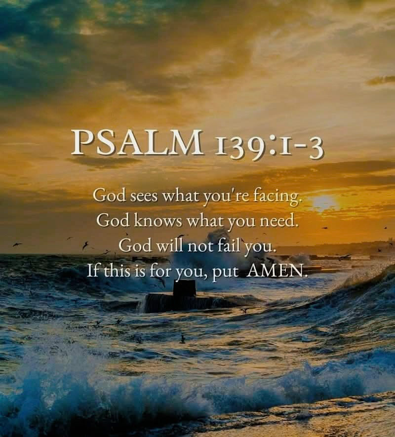 Olga Jaramillo tweet media