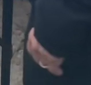 lost carcosa tweet media