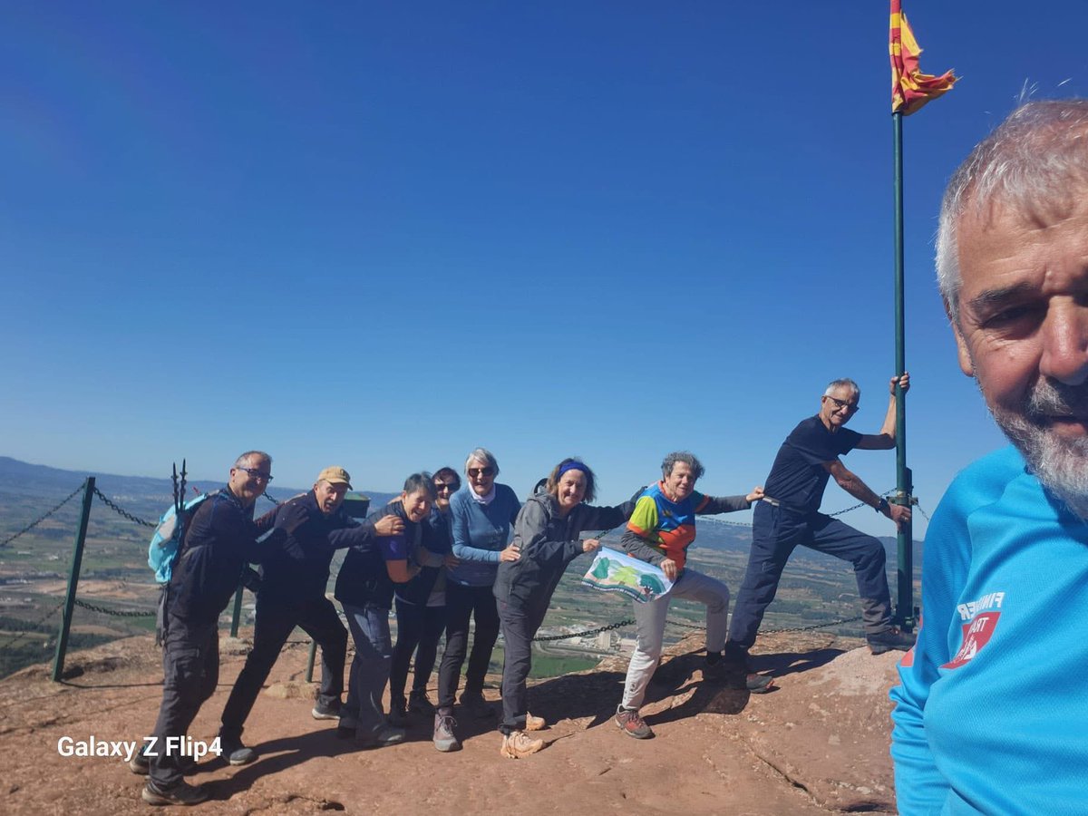 aamp.cat tweet media