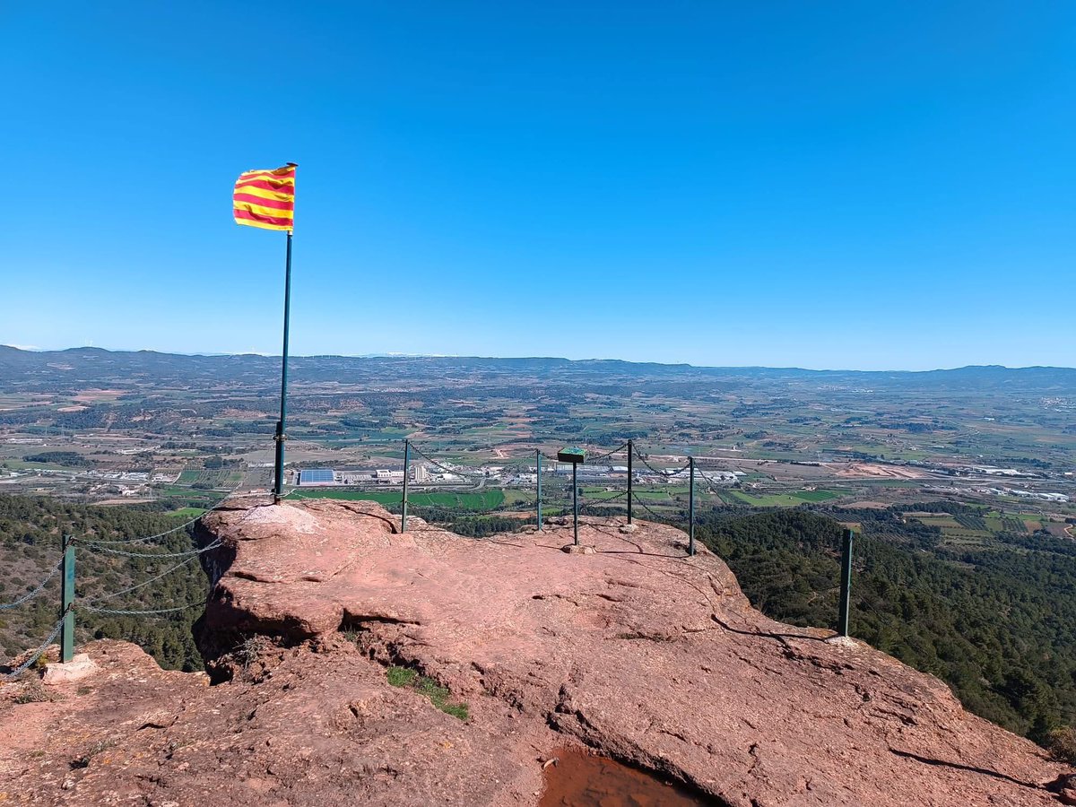 aamp.cat tweet media